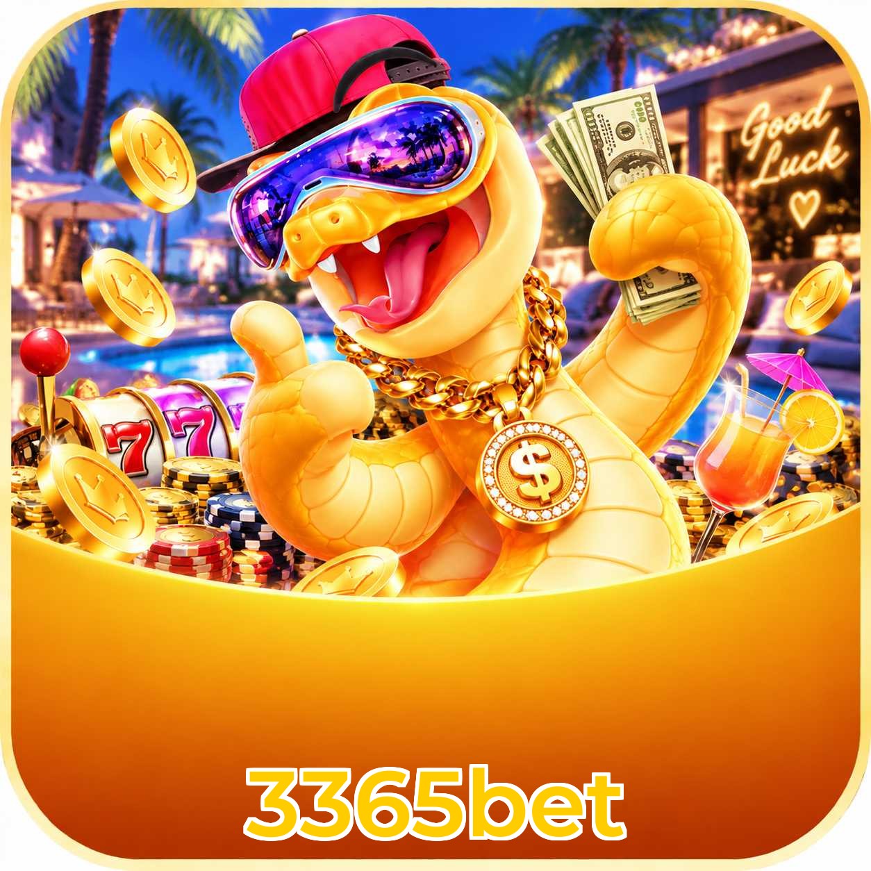 3365bet FAQ
