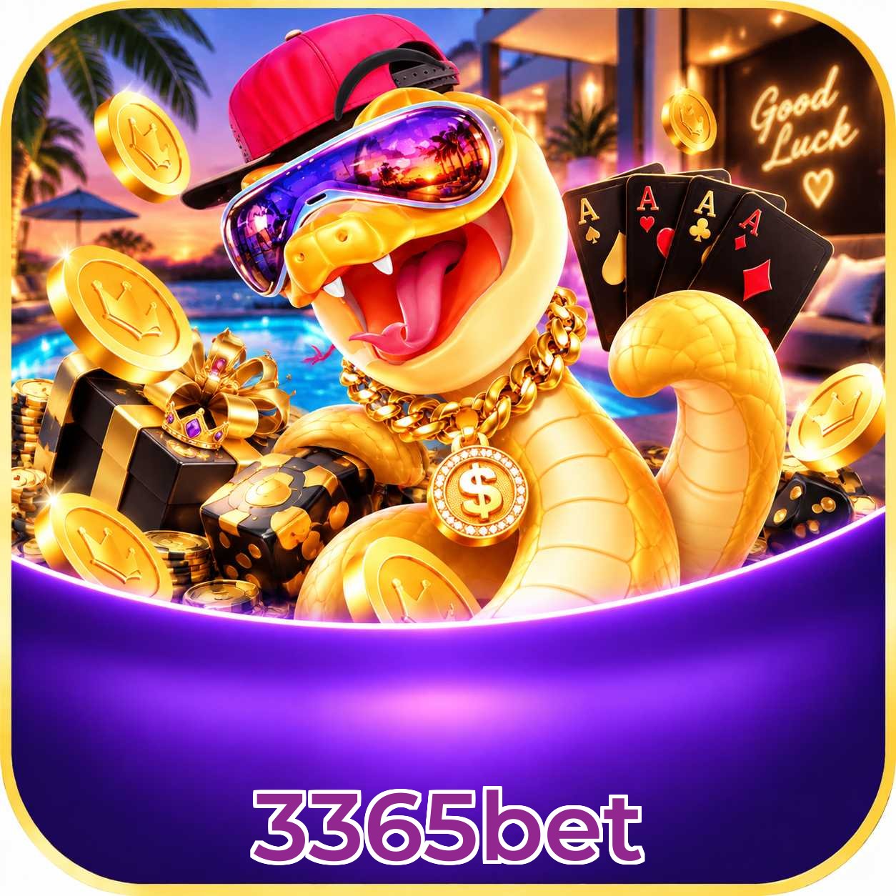 3365bet Final Verdict